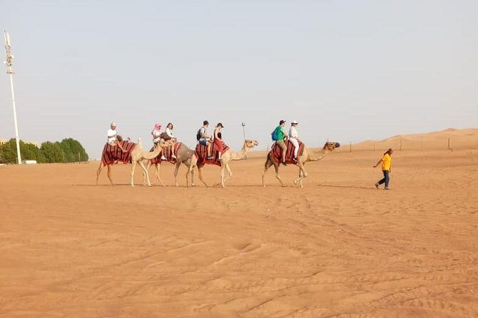Morning Desert Safari With Quad Biking, Camel Riding and Dune Bashing - Pickup, vehicle comfort, and staff you can actually trust