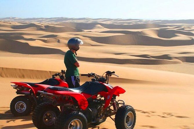 Morning Desert Safari With Quad Biking, Camel Riding and Dune Bashing - The 4-hour flow: pickup, desert stop, then back to Dubai