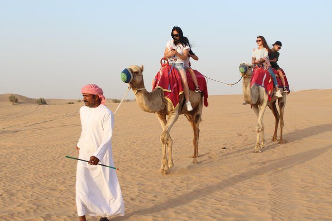 Morning Desert Safari With Refreshment At Dubai - Dune bashing in a 4x4 land cruiser: where the adrenaline lives