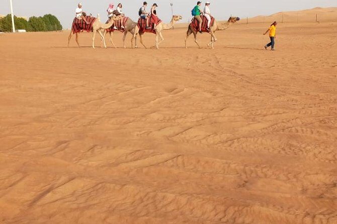 Morning Desert Safari with Sand Boarding and Dune bashing - Should you book this morning desert safari?