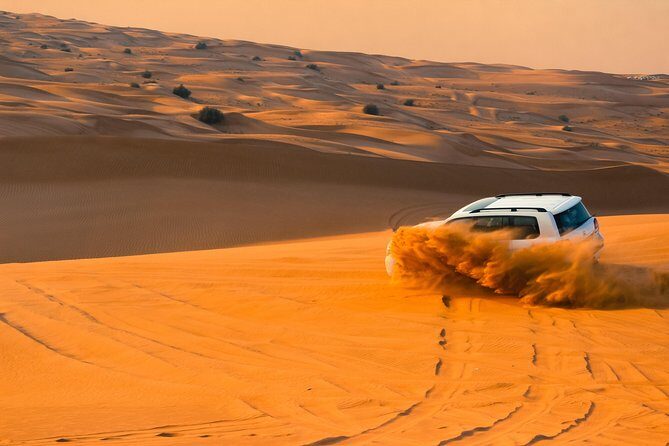 Morning Desert Safari with Sand boarding & Camel RideTour - The Red Dunes Drive: 30 Minutes of Dune Bashing