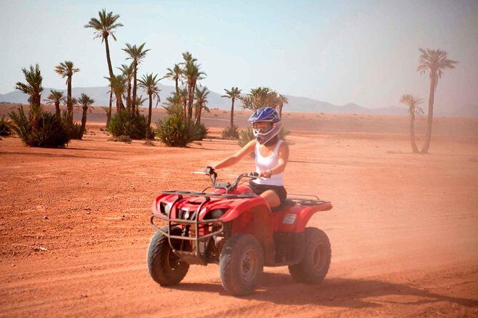 Morning Desert Thrill: Dune Bashing, 30min Quad Bike & Camel Ride - Price and Value: What $65 Covers in Real Terms