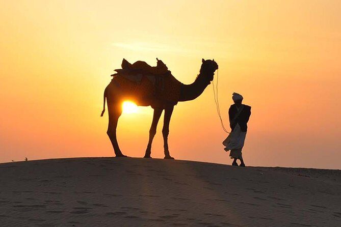 Morning Dune Bashing, Including Camel Riding and Sand Boarding from Dubai - What Makes It Worth $45