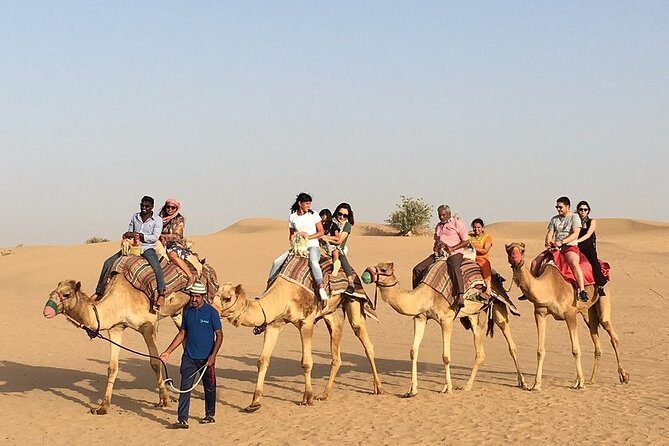 Morning Dune Bashing, Including Camel Riding and Sand Boarding from Dubai - Camel Riding or Sand Boarding: Choose Your Desert Personality