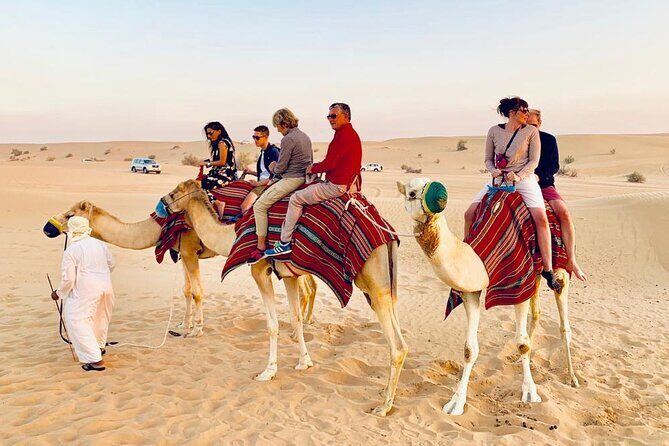 Morning Dune Bashing with Camel Trekking and sand boarding - Where the Tour Really Happens: Lahbab Desert in the Morning