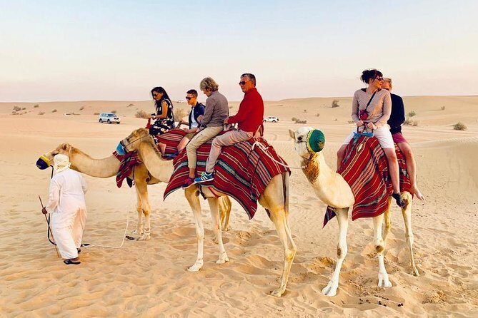 Morning Dune Bashing With Sand Boarding And Camel Ride in Red Dunes Desert - Camel Ride: The Slower Desert Moment (Check Your Confirmation)