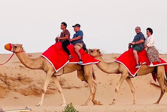 Morning/Evening 4x4 Desert Safari, CamelRide & Sandboarding - The main event: high red dunes, dune bashing, and picture points