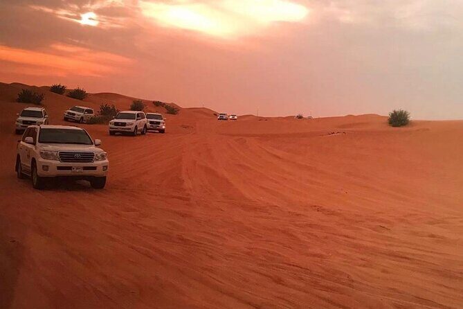 Morning Quad Biking & Red Sand Desert Safari , Camel Ride, Sand Boarding - Camel Ride: A Short Tradition That Doesn’t Eat the Day