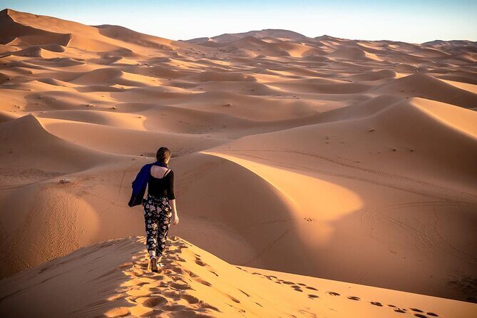 Morning Red Sand Desert Safari with Camel Ride & Sand Boarding - Key highlights to look forward to