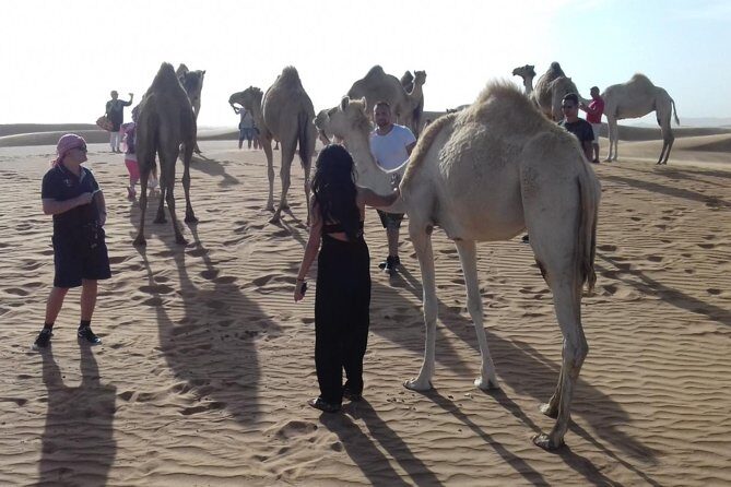 Morning Safari by 4x4 from Dubai with Sand Boarding - Price and Value: Is $35 Worth It?