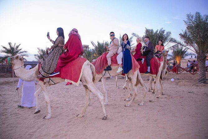 Morning Safari Camel Ride & Quad Biking Tour - Price reality check: what $90 buys you here