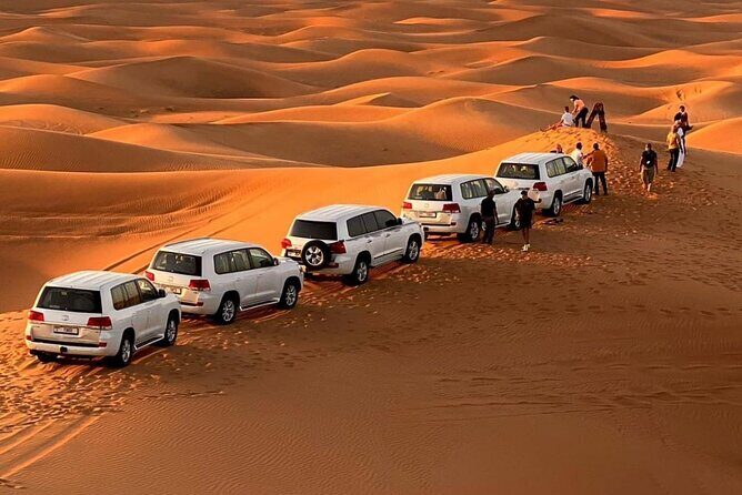 Morning Safari (Private Car) - Quick hits from this private morning safari