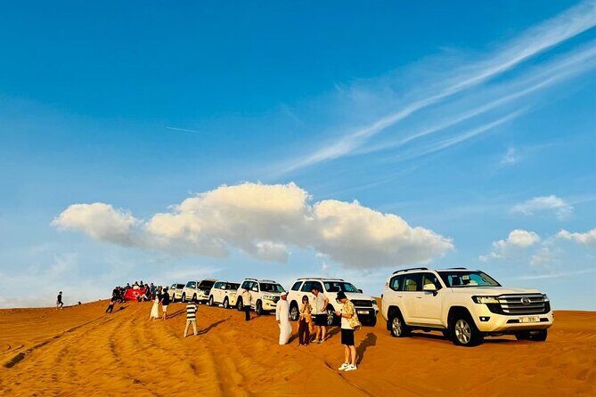 Morning Safari (Private Car) - The Dubai Desert Conservation Reserve stop (and why it’s more than a label)