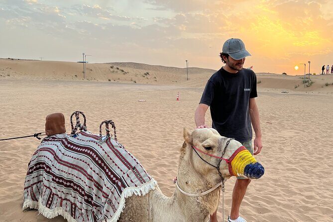 Morning Safari, Sand Boarding, Camel Ride and Photography - Camel ride and dune bashing in Lahbab: where the adrenaline lands