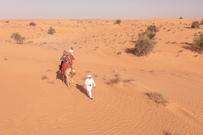 Morning Safari with Camel Ride and Quad Bike Single Seater - Pickup, ride time, and how the 4-hour flow works