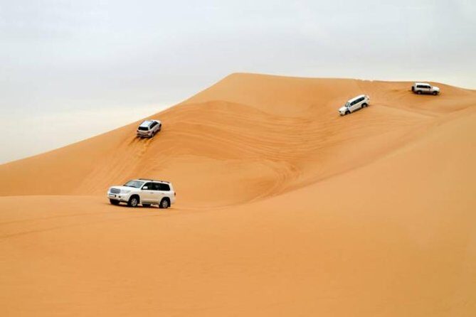 Morning Safari With Camel Ride - Key things to know before you go