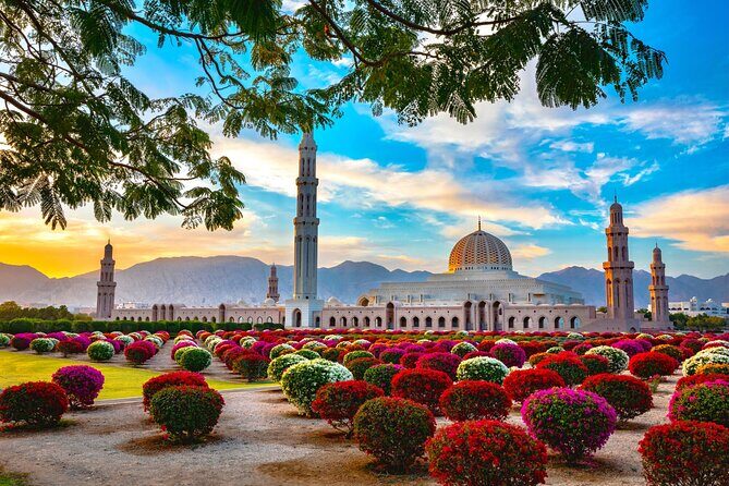 Muscat City Tour from Dubai with Free Visa & Omani Lunch - A Private Muscat Day That Avoids the Big-Bus Grind