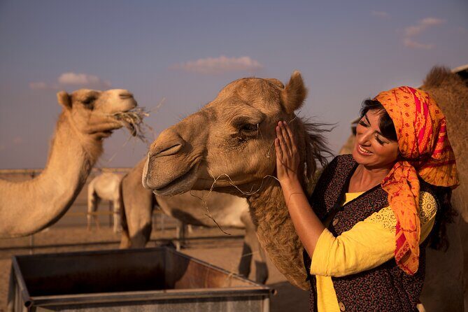 Overnight Camel Caravan with BBQ Dinner and Arabic Breakfast - Return to your hotel: long day, but not a wasted one
