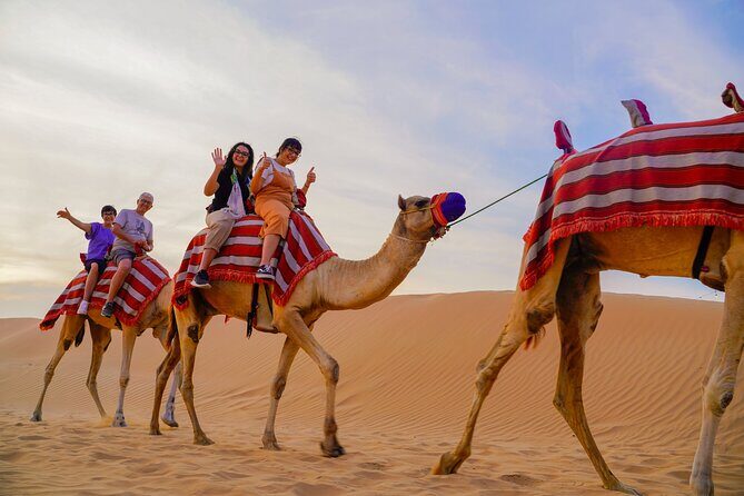 Overnight Desert Experience with safari and BBQ Dinner - Why Overnight Desert Time Beats a Quick Safari