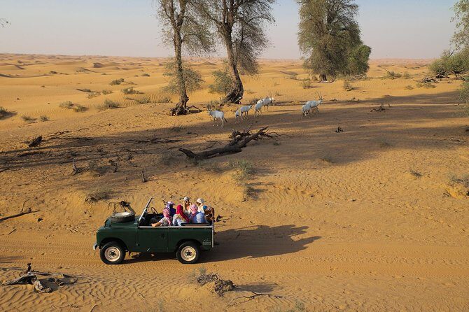 Overnight Desert Safari - Vintage Land Rovers & Traditional Activities - The Vintage Land Rover Wildlife Drive Through the Dubai Desert Conservation Reserve