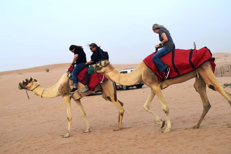 Overnight Dubai Desert Safari with BBQ Dinner - Camel farm briefing, sandboarding, and the action stops