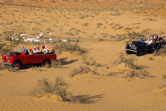 Overnight Safari and Sunrise Hot-Air Balloon Ride - The Bedouin Camp Evening: Dinner, Shisha, Camel Rides, and Interactive Performances
