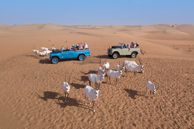 Overnight Safari and Sunrise Hot-Air Balloon Ride - Price and Value: Why This Costs More Than a One-Night Desert Tour