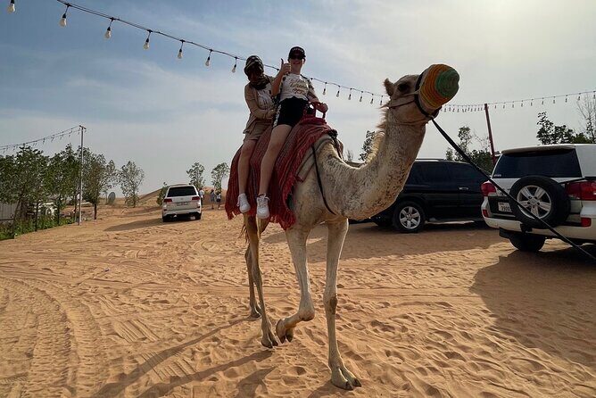 Platinum Desert Safari in 4x4, Quad Bike, Live BBQ and Shows - Live BBQ Dinner and the Belly Dance + Tanoura Shows