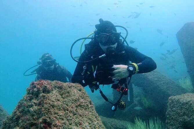 Pleasure Scuba Diving in Fujairah for Certified Diver - Key things that make this trip work