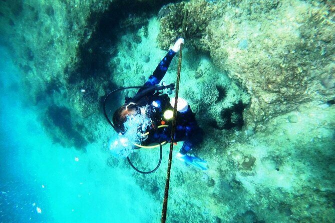 Pleasure Scuba Diving in Fujairah for Certified Diver - What You’ll See Off Fujairah: Reef Life, Turtles, Rays, and More