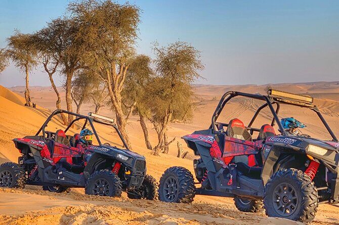 Polaris 1000 CC/2 Seater Dune Buggy Ride in Open Desert - Price and logistics: is $128.39 per group actually a good deal?