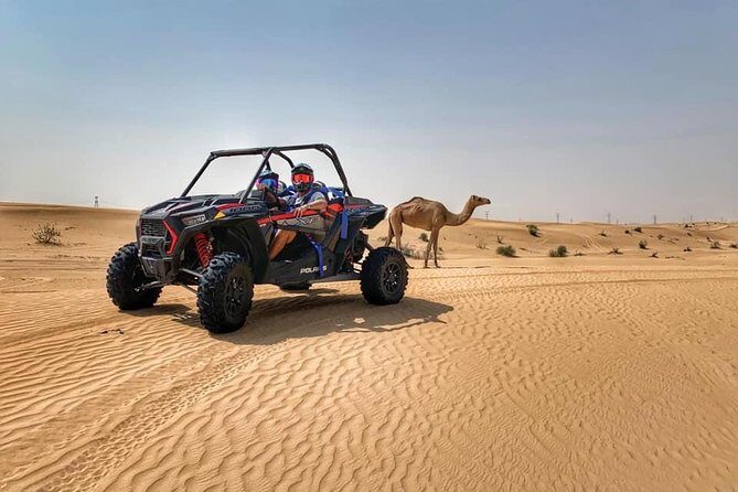 Polaris RZR 1000cc 2seater Desert Adventure Guided Tour - Your buggy ride: Polaris RZR 1000cc, 2 seats, and turn-taking