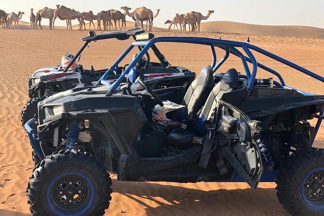 Polaris RZR 1000cc 2seater Desert Adventure Guided Tour - Lahbab driving time: what to expect at the main stop