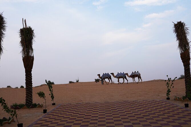 Premium Deluxe Dubai Safari with Camel Ride, Sandboard & BBQ - Extras and add-ons: quad bikes, falcon/eagle photos, souvenirs