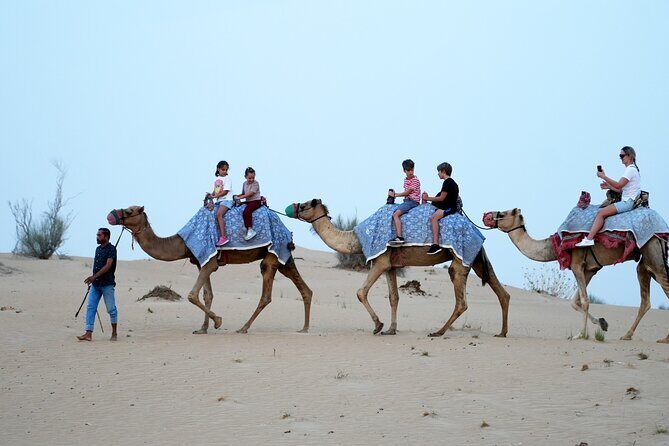 Premium Deluxe Dubai Safari with Camel Ride, Sandboard & BBQ - Practical tips to make your safari smoother