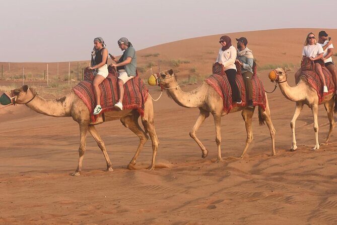Premium Desert Quad (ATV) Bike Ride Adventure & Sand boarding - Quad (ATV) ride across Dubai’s dunes: the main event