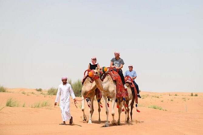 Premium Desert safari ( AL TAWARQ ) - Entering the Desert Safari Zone From Hotel Pickup