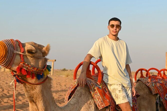 Premium Desert safari ( AL TAWARQ ) - Price and Logistics: What $104.67 Buys You (and What It Doesn’t)