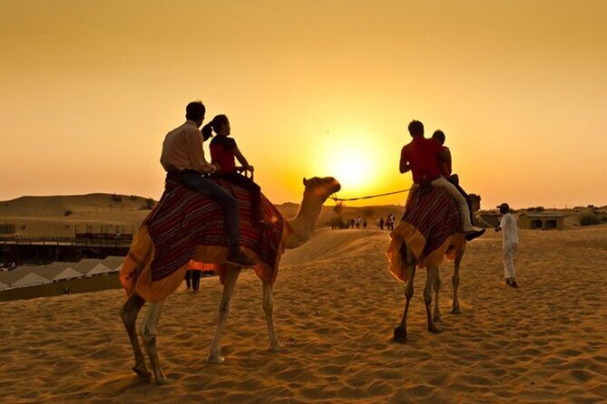 Premium Desert Safari: BBQ, Quad Bike & Sandboarding - Quad bike, sandboarding, and a camel ride: speed plus tradition