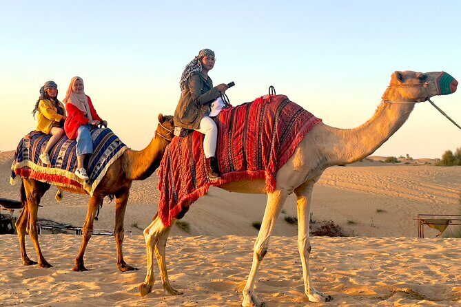 Premium Desert Safari Dubai with BBQ and ATV - Pickup, timing, and group size: the logistics that can make or break your vibe