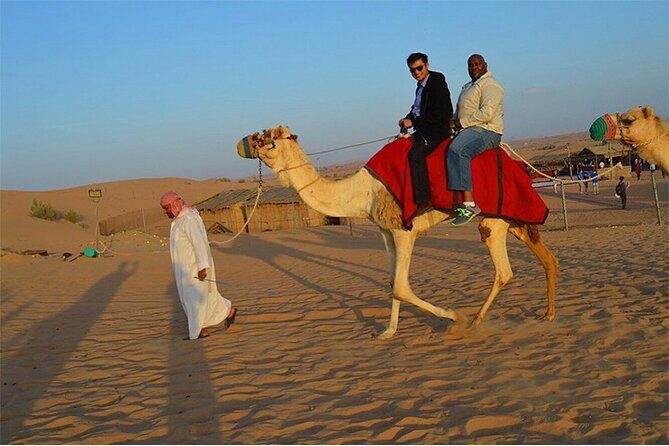 Premium Desert Safari Dubai with Camel Riding and BBQ Dinner - 4x4 Dune Bashing in Lahbab: The Part Everyone Remembers