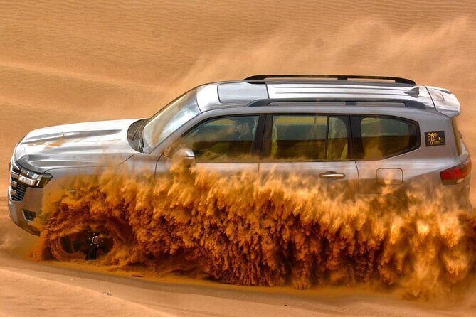 Premium Desert Safari in Dubai with Buffet Dinner - Key things you’ll notice right away
