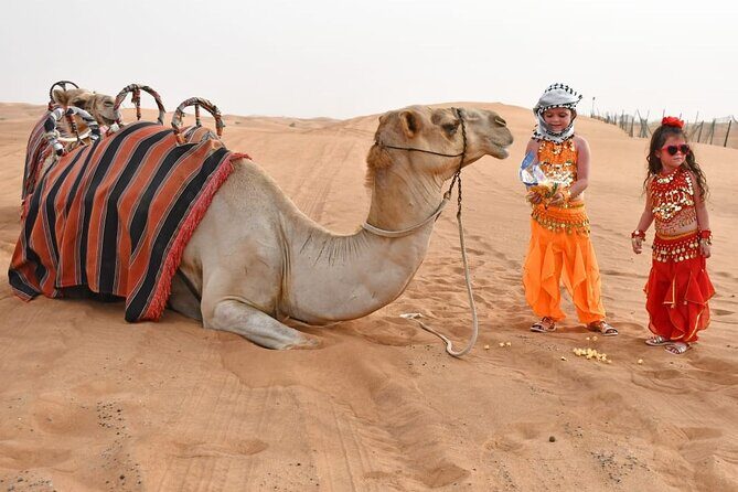 Premium Desert Safari With BBQ Dinner & Belly Dance - Henna painting and Arabic dress photos: the cultural bits with a photo payoff