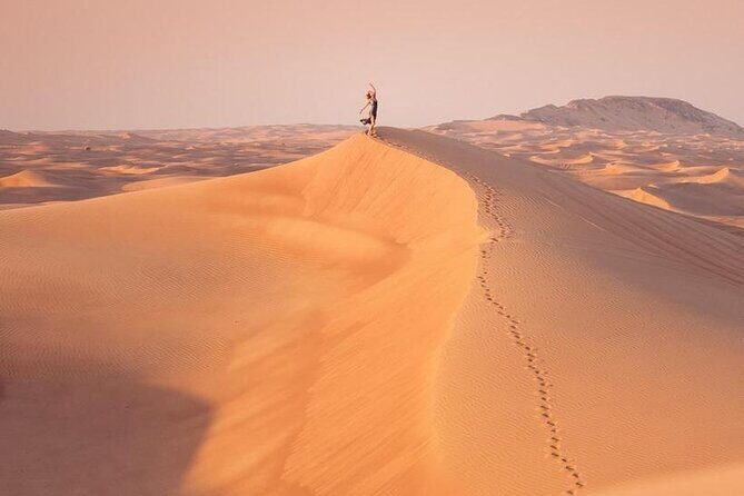 Premium Desert safari With Dune buggy camel ride BBQ dinner - Price and value: is $175.89 a fair deal?