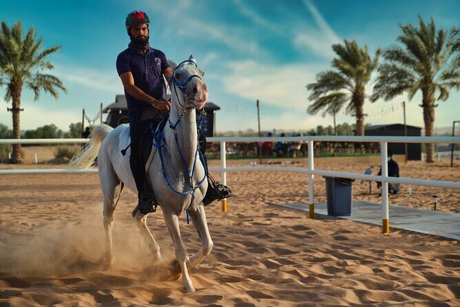 Premium Hot Air Balloon, Breakfast, Camel Ride, Quad Bike & More - Short Dune Bashing in the Deep Desert: What to Expect