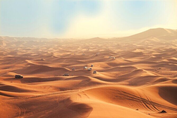 Premium Morning Dessert Safari With Sand Boarding & Dune Bashing - What is included vs. what costs extra