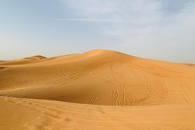 Premium Red Dunes Safari and Camel Safari with BBQ Dinner - Dinner in the desert: BBQ buffet + drinks