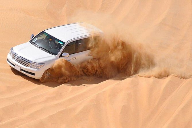 Premium Red Dunes Safari and Camel Safari with BBQ Dinner - Live entertainment: dance and a fire show