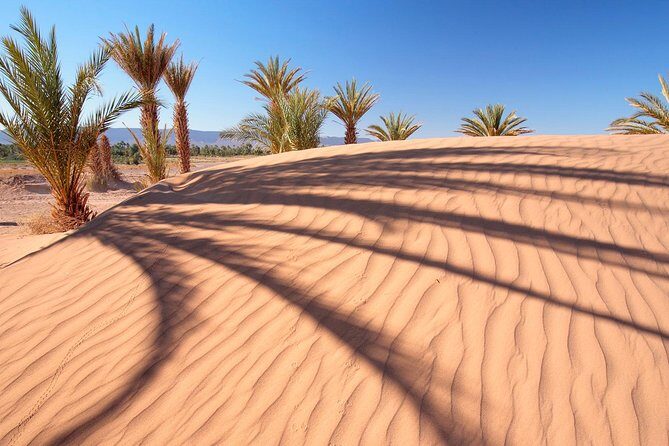 Premium Red Dunes Safari and Camel Safari with BBQ Dinner - The dune bashing drive: the main event