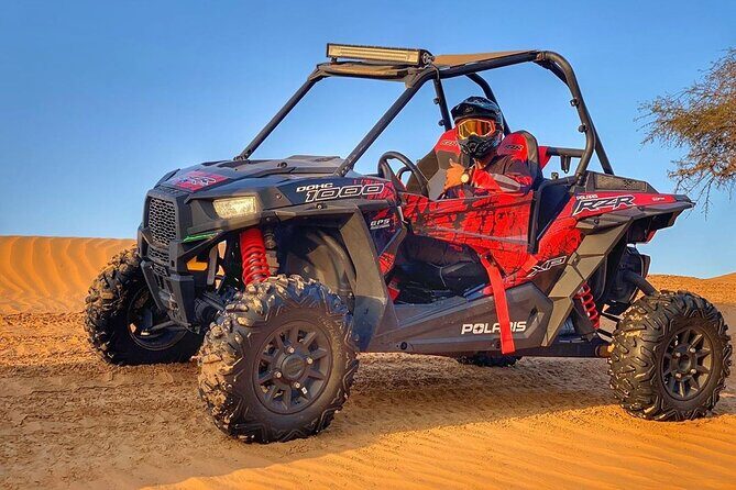 Private 1000cc Buggy Tour on Al Lahbab Desert from Dubai - Who should book this buggy tour, and who should skip it